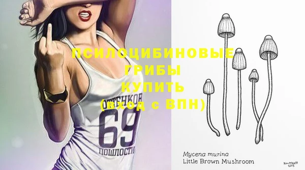 герыч Богородск