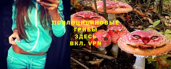 экстази Богородицк