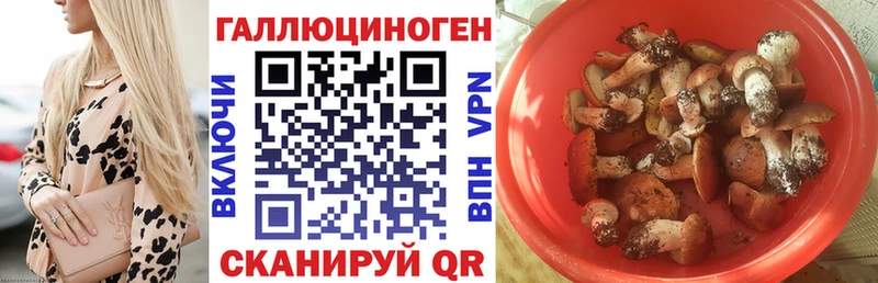 Галлюциногенные грибы Cubensis  Кольчугино 